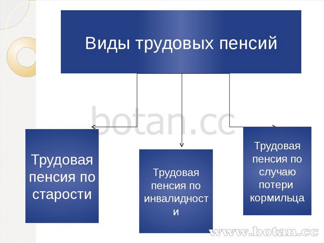 Какие виды пенсий. Виды пенсий. Виды трудовых пенсий. Виды пенсий схема. Понятие и виды социальных пенсий.