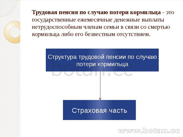 Защита дипломной работы презентация