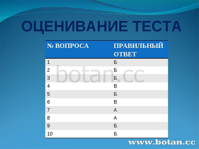 Темы для проекта по черчению