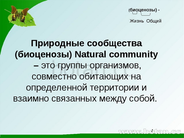 Понятие о природном сообществе презентация 6 класс