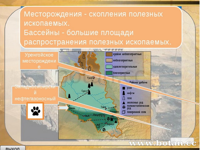 Минеральные ресурсы 8 класс. Полезные ископаемые России бассейны карта. Основные бассейны и месторождения полезных ископаемых в России. Крупнейшие бассейны полезных ископаемых. Бассейны месторождений полезных ископаемых в России.