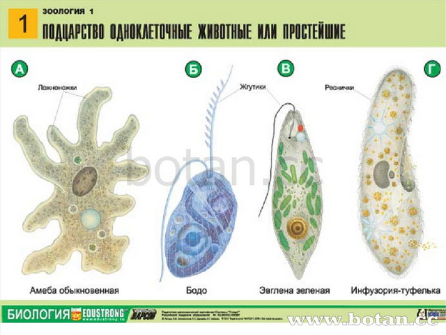 Установление соответствия