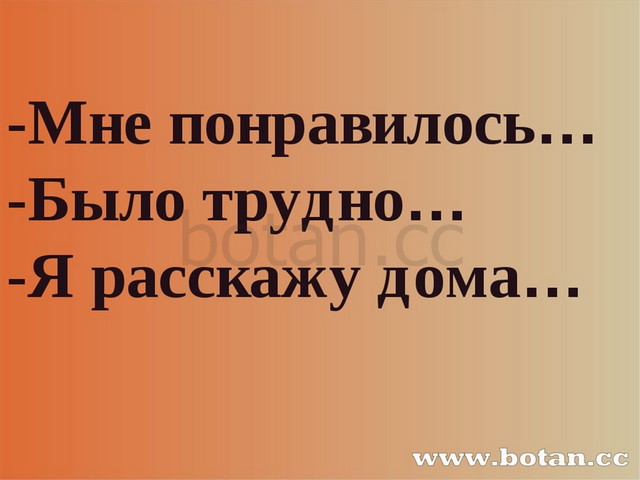 Тряпка это тряпка тряпкой вытру стол стих автор