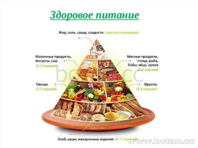 Презентация мое хобби кулинария