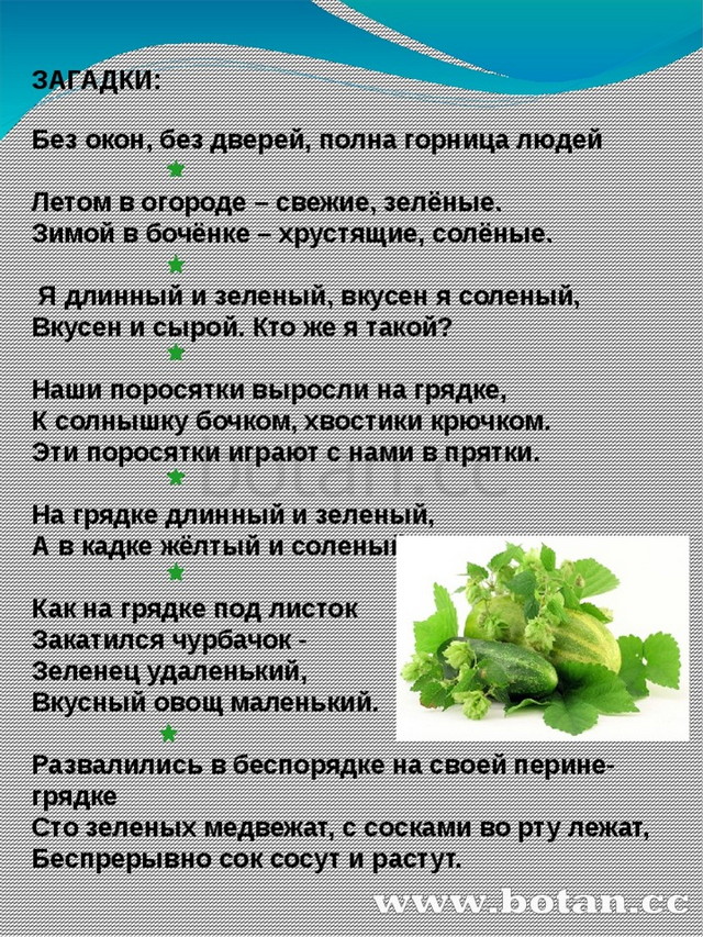 ЗАГАДКИ: Без окон, без дверей, полна горница людей Летом в огороде – свежие,...