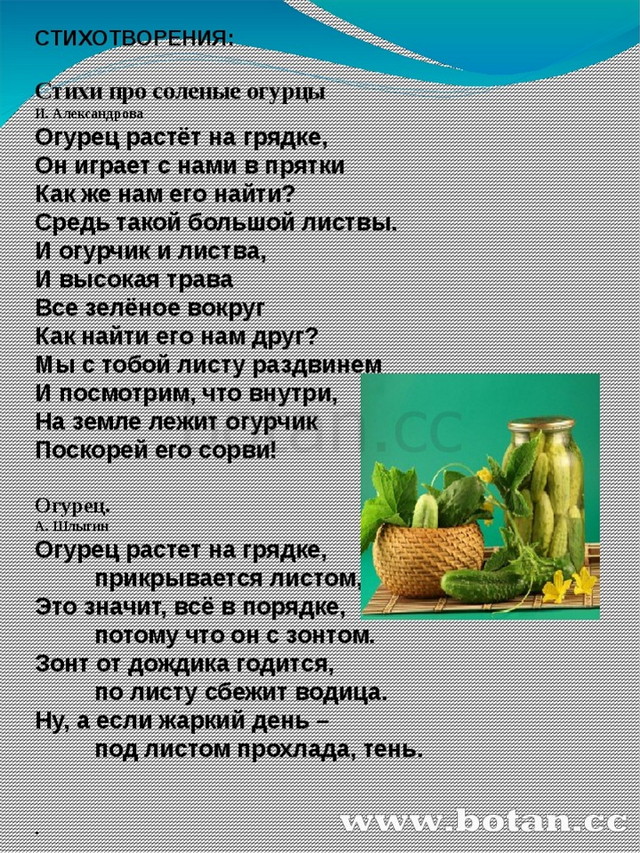 СТИХОТВОРЕНИЯ: Стихи про соленые огурцы И. Александрова Огурец растёт на гряд...