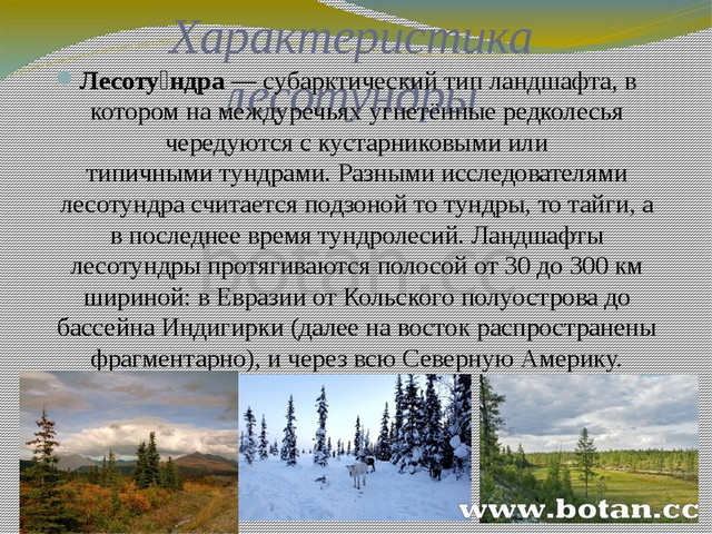 Природные ресурсы россии презентация 8 класс география