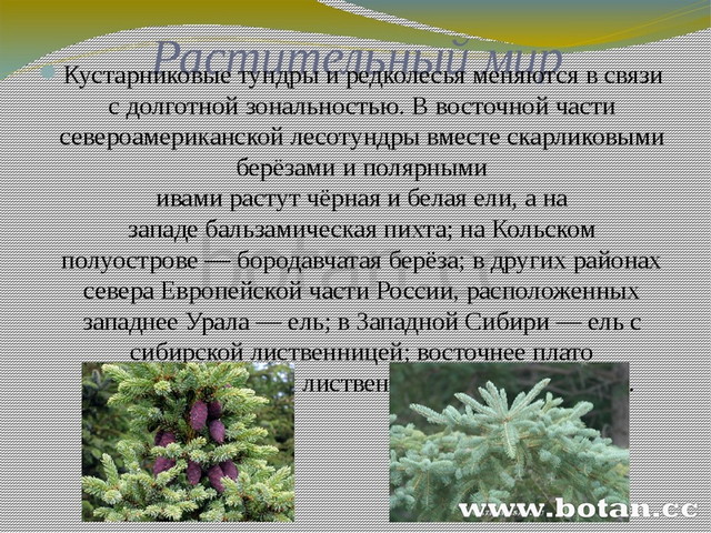 Презентация на тему природно хозяйственные зоны россии