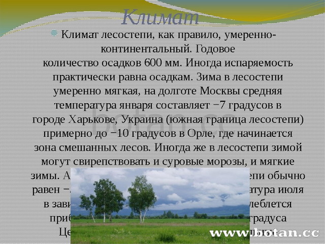 Количество осадков в лесостепи и степи. Климатические условия лесостепи. Годовое количество осадков в лесостепи. Средняя температура января в лесостепи. Климат лесостепи в России.