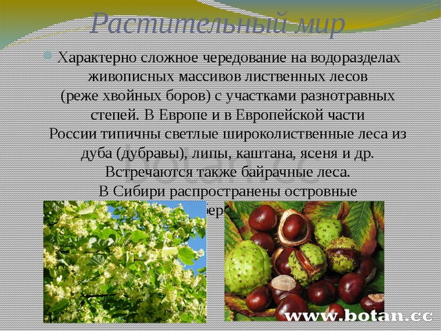 Презентация природно хозяйственные зоны россии 8 класс