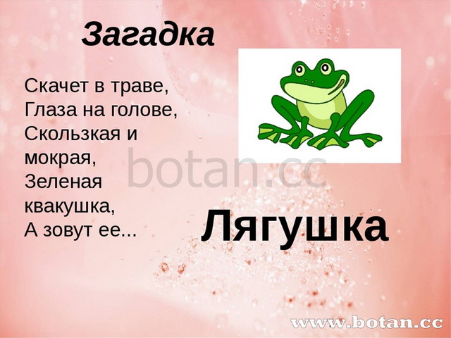 Презентация по русскому языку 2 класс правописание слов с безударным гласным звуком в корне