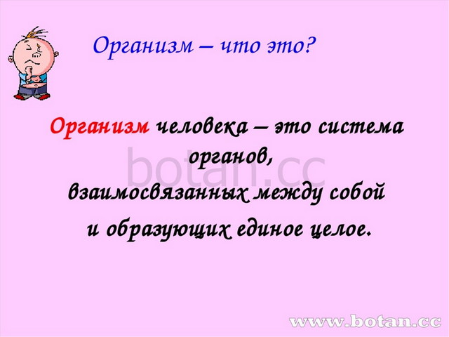 Окр мир 3 кл организм человека презентация