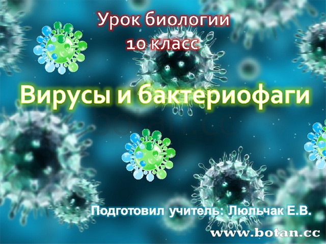 Вирусы презентация 10 класс биология