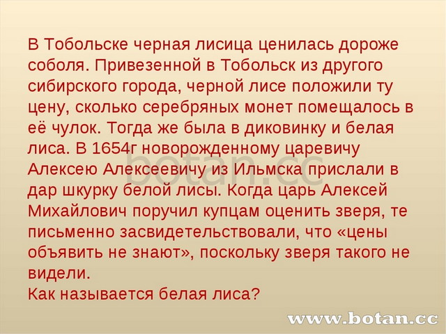 Презентация по типу своя игра