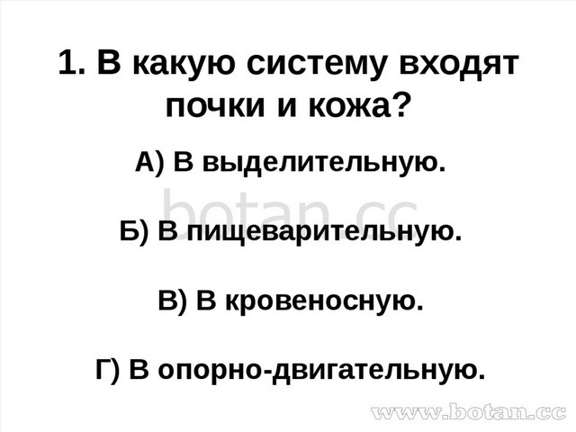 Тесты По Окружающему Миру УМК Гармония (3 Класс)