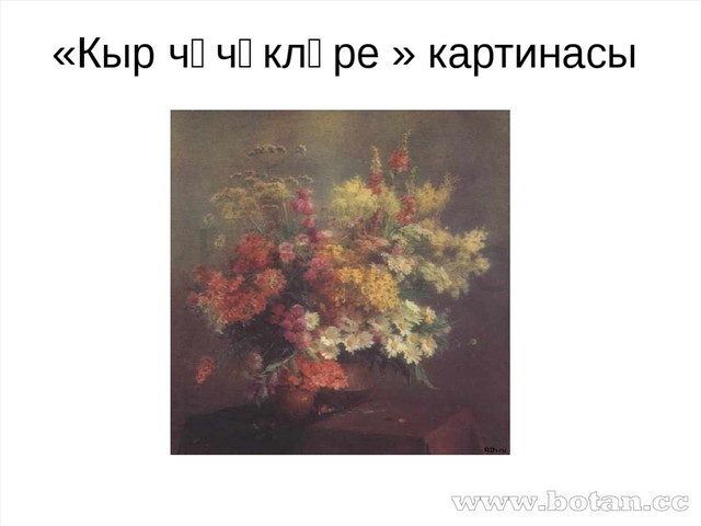 «Кыр чәчәкләре » картинасы