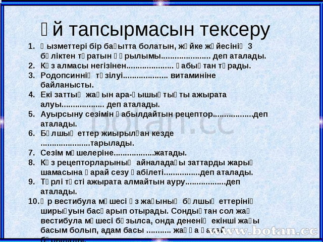 Оптикалық аспаптар 8 сынып презентация