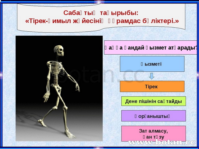 Тірек қимыл аппараты бұзылған балалар презентация