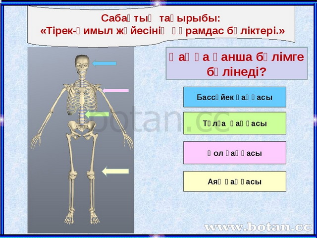 Тірек қимыл аппараты бұзылған балалар презентация