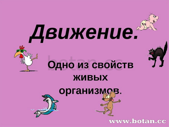 Свойство живого движение. Движение свойство живых организмов. Движение живых организмов презентация. Необычные способы передвижения живых организмов. Презентация на тему движение лоллардывека.