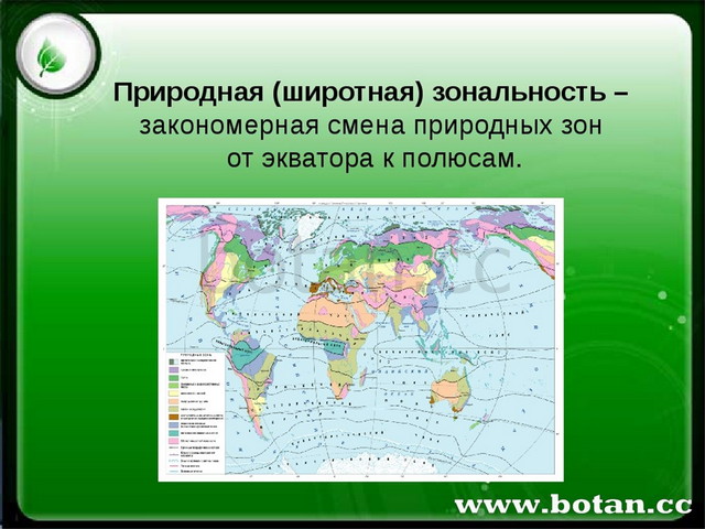 Природно-хозяйственные зоны РФ. Презентация по географии. 8 класс