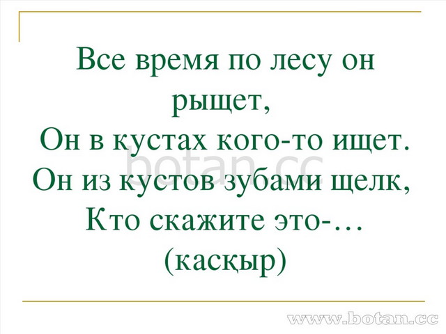 Все время по лесу он рыщет, Он в кустах кого-то ищет. Он из кустов зубами щел...