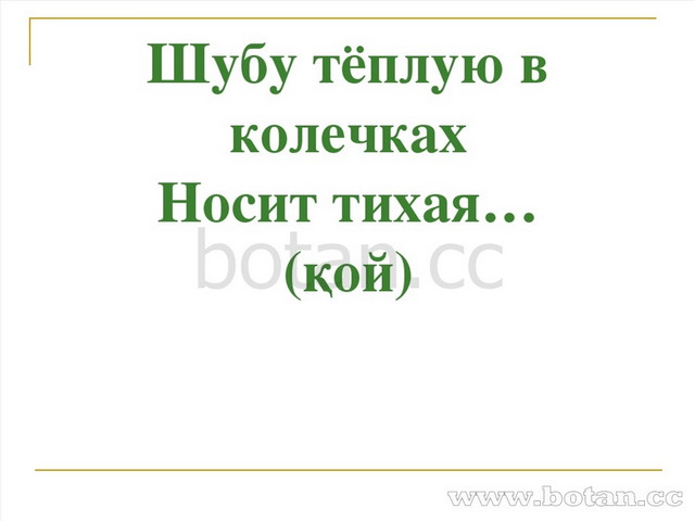 Шубу тёплую в колечках Носит тихая… (қой)