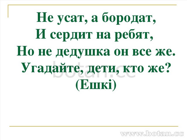 Не усат, а бородат, И сердит на ребят, Но не дедушка он все же. Угадайте, дет...
