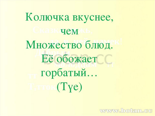 Сказка ложь, да в ней намек! Добрым молодцам тт тт Т,тток. Колючка вкуснее,...