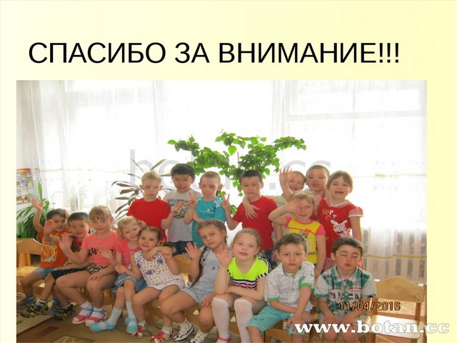 СПАСИБО ЗА ВНИМАНИЕ!!!