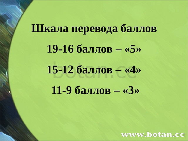 Собирательные числительные 6 класс презентация