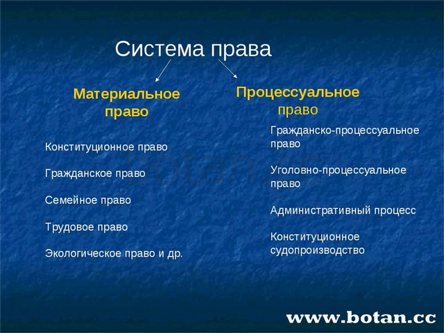 Гражданский и уголовный процесс презентация 11 класс