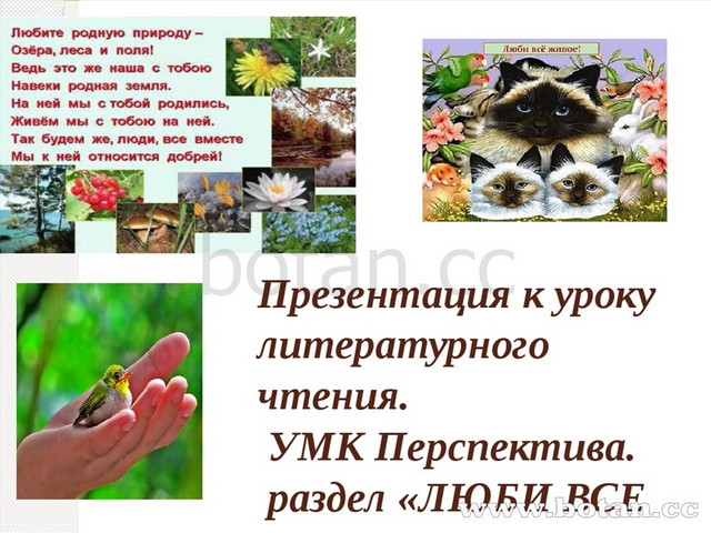 Что значит любить все живое 3 класс. Произведения на тему люби живое. Люби живое 3 класс. Люби все живое презентация. 3 Класс тема люби все живое.