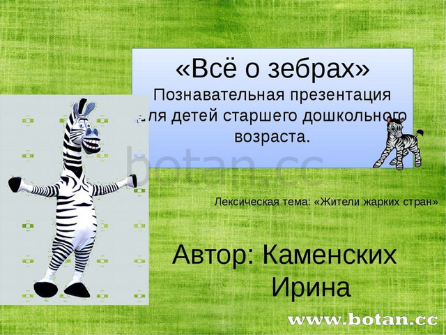 Презентация зебра для дошкольников
