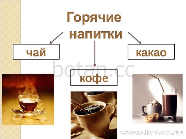 Презентация горячие и холодные напитки