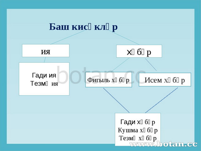 Ия белэн хэбэр презентация