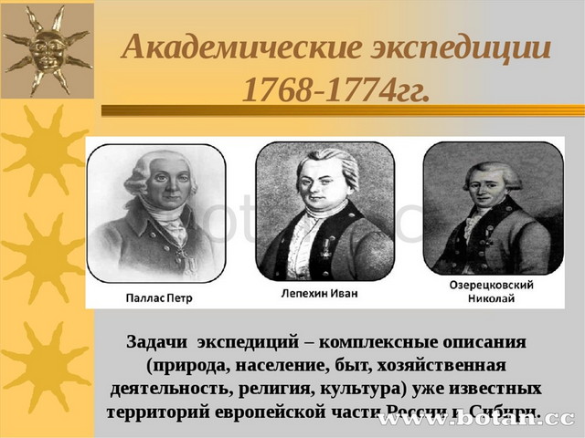 Известные экспедиции. Экспедиция Палласа в 1768-1774. Академические экспедиции 1768-1774. Академические экспедиции 18 века. Паллас Экспедиция 1768 - 1774.