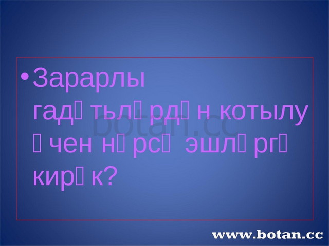 Тыныч тоннэр картинки