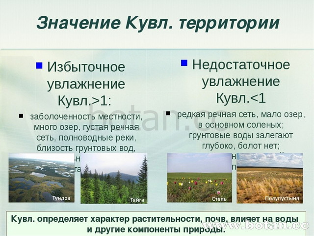 Почвы формируется в условиях избыточного увлажнения. Увлажнение территории России. Зона избыточного увлажнения. Коэффициент увлажнения. Определить коэффициент увлажнения.