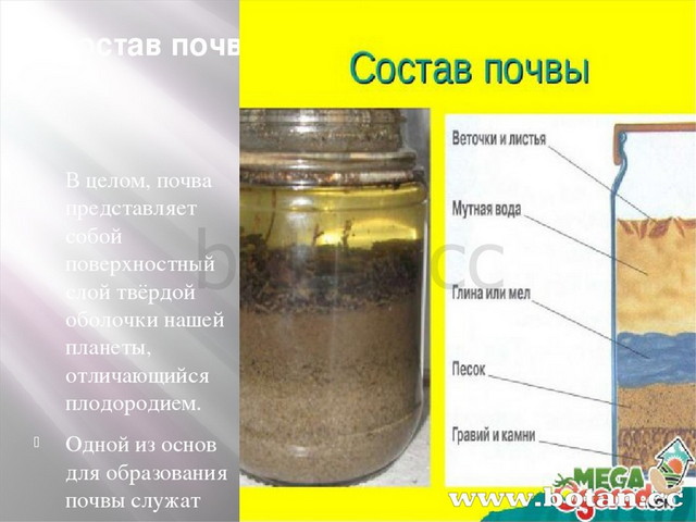 Почвы краснодарского края 4 класс кубановедение презентация
