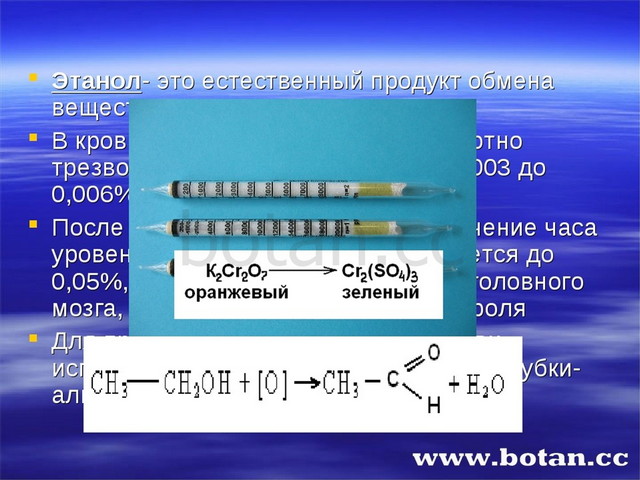 Презентация химия запахов