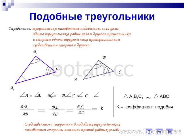 Презентация по геометрии на тему Подобные треугольники (8 класс)