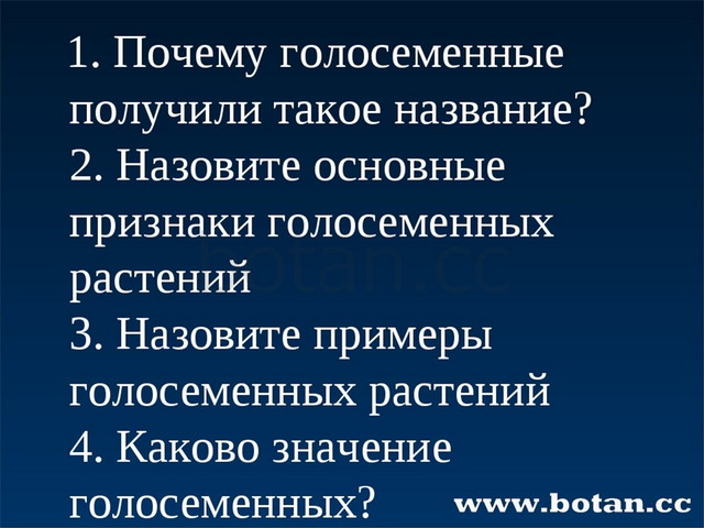 Голосеменные. Ответы на вопросы