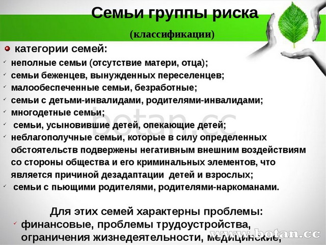 План работы с семьей социального риска в школе