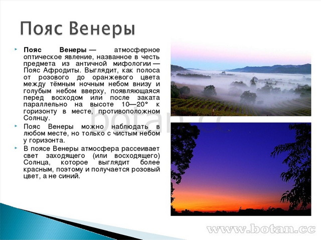 Атмосферные явления география 6. Пояс Венеры природное явление. Пояс веры география 6 класс. Пояс Венеры доклад. Что такое пояс Венеры география 6 класс.