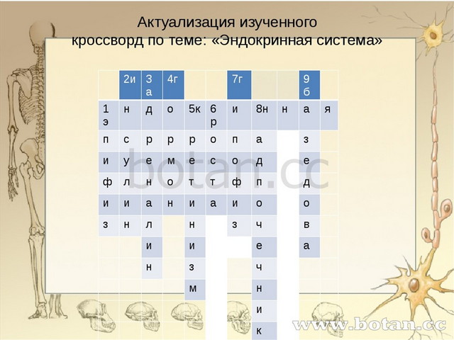 Кроссворд на тему микроскоп. Кроссворд по биологии 8 класс эндокринная система. Кроссворд на тему эндокринная система. Кроссворд по теме эндокринная система. Кроссворд эндокринная система.