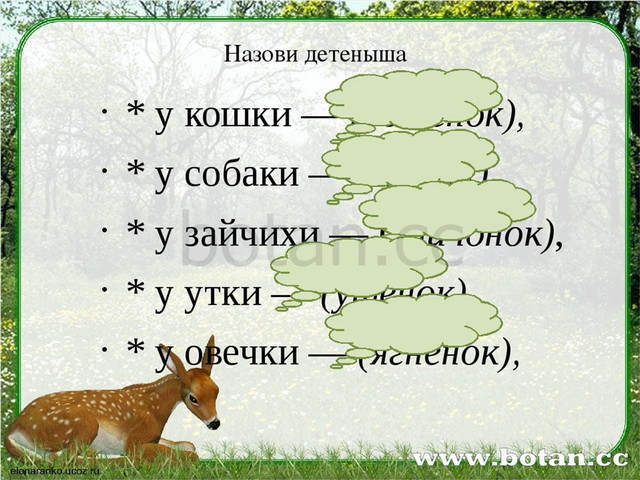 Какие традиции в изображении реальной действительности во время войны унаследовал у толстого шолохов