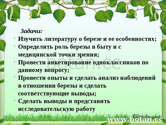 Какой этап работы на еат березка показан на картинке