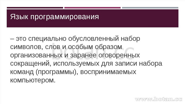 Опишите любого известного формального исполнителя по плану