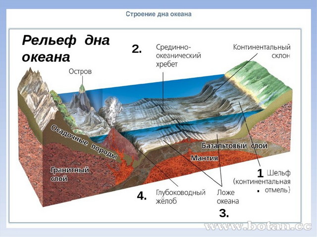 Основные формы рельефа 5 класс география презентация